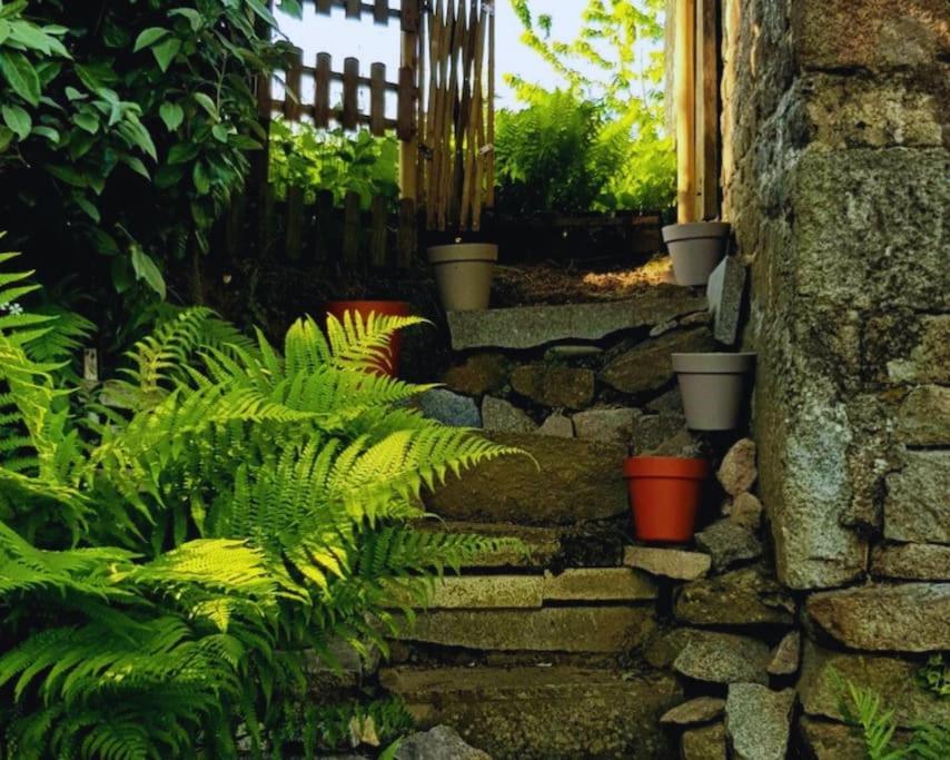 Maison En Pierre Au Milieu Du Bocage Coulouvray-Boisbenâtre エクステリア 写真